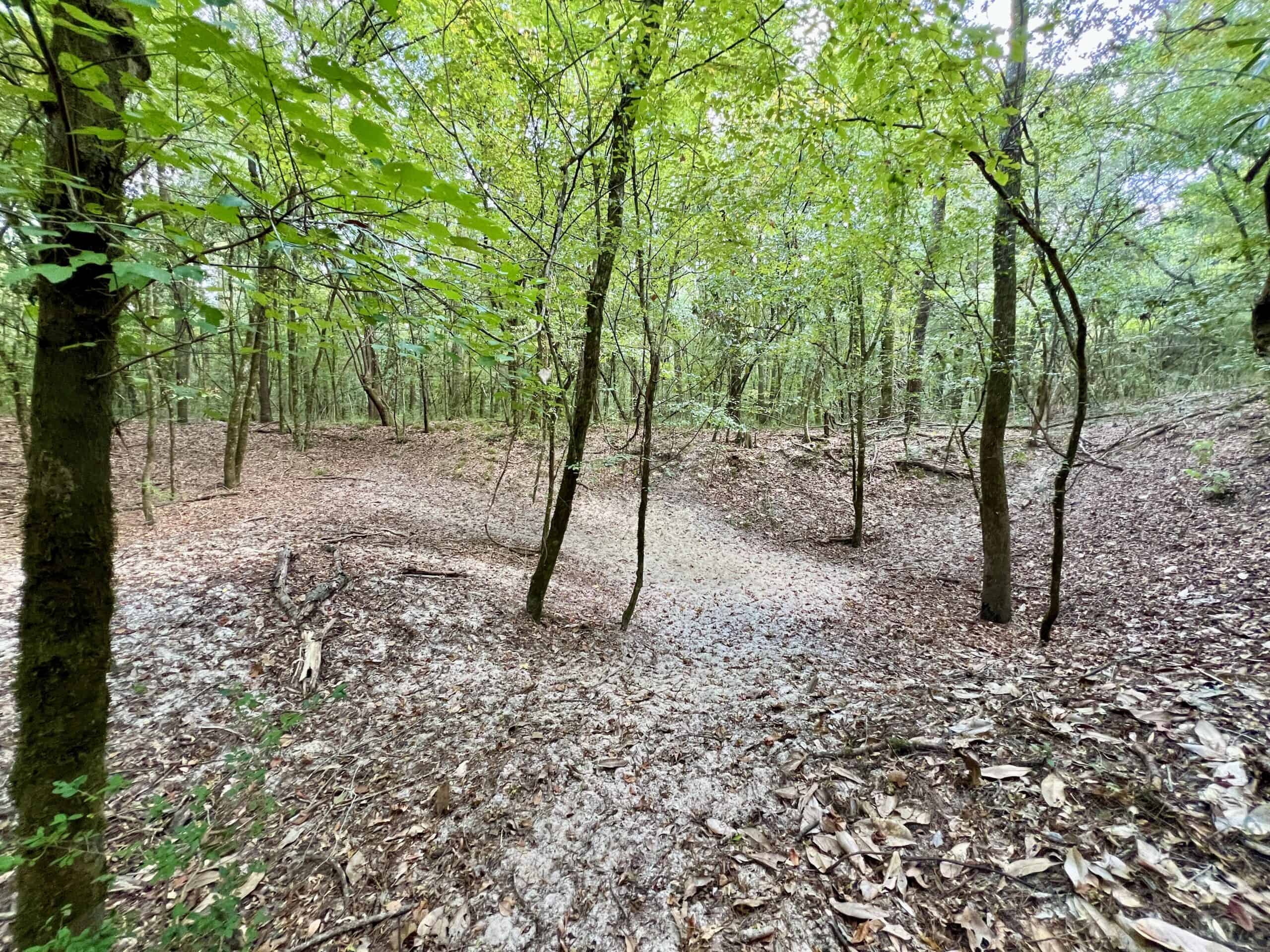 Prime Riverfront Hunting & Recreational Land for Sale in Samson Alabama!