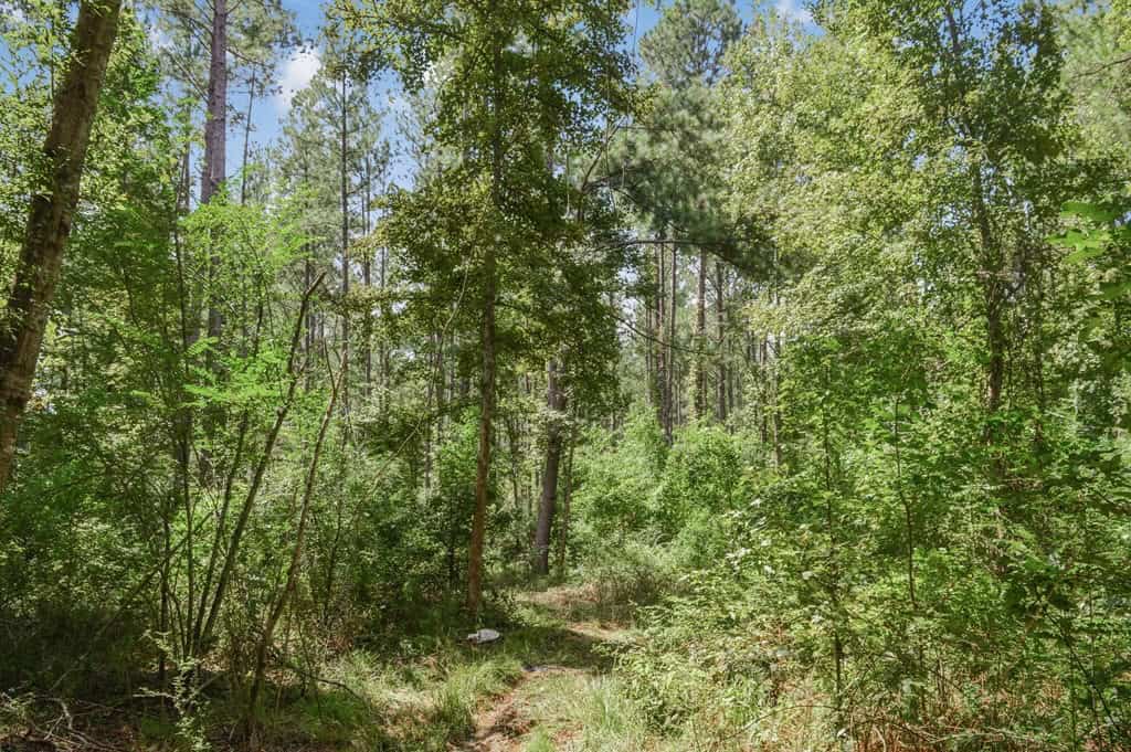 200 Acres of Land for Sale in North Pike School District