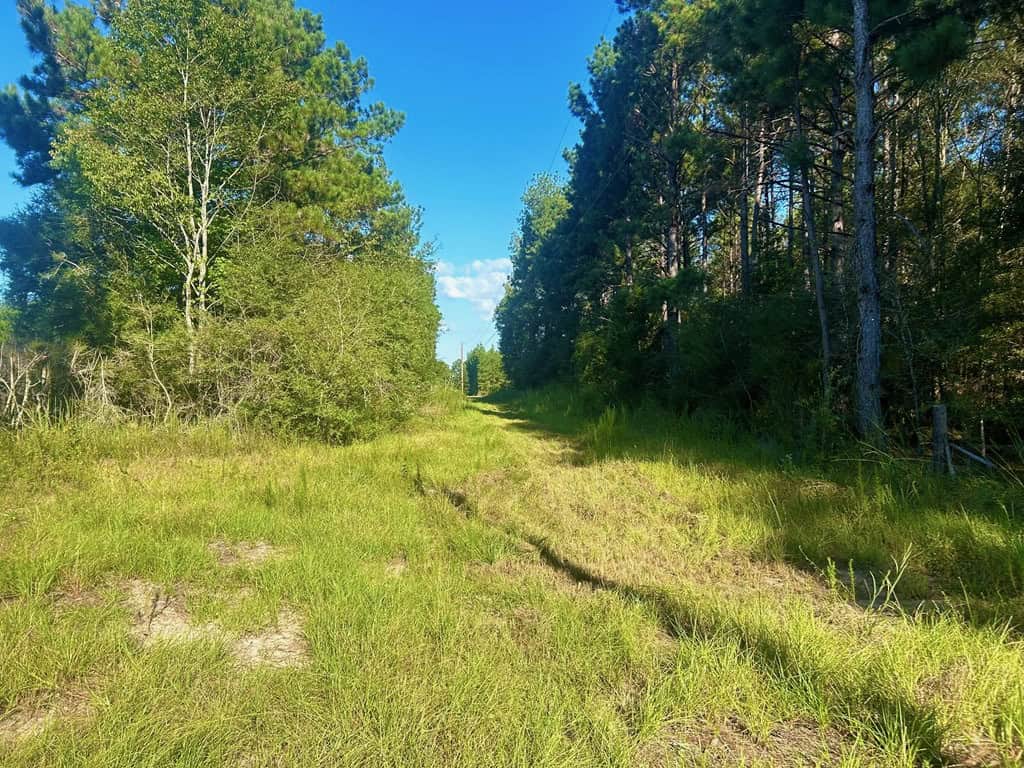 Brookhaven MS 19.7+- Acres for Sale