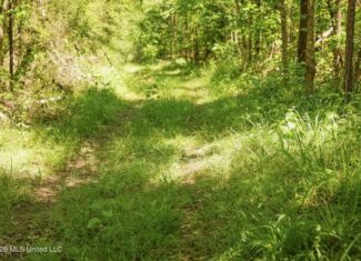 120 Acre Hunter’s Paradise in South MS for Sale