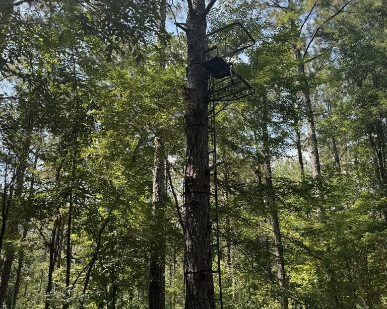 120 Acre Hunter’s Paradise in South MS for Sale