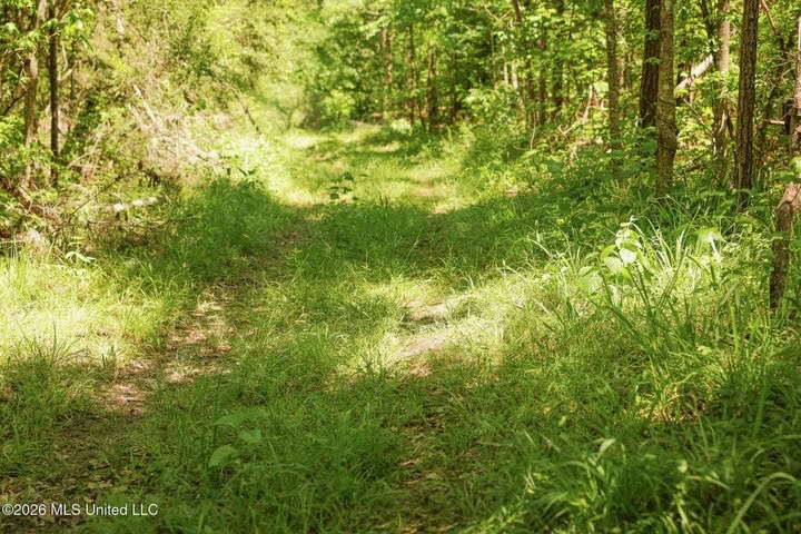 120 Acre Hunter’s Paradise in South MS for Sale