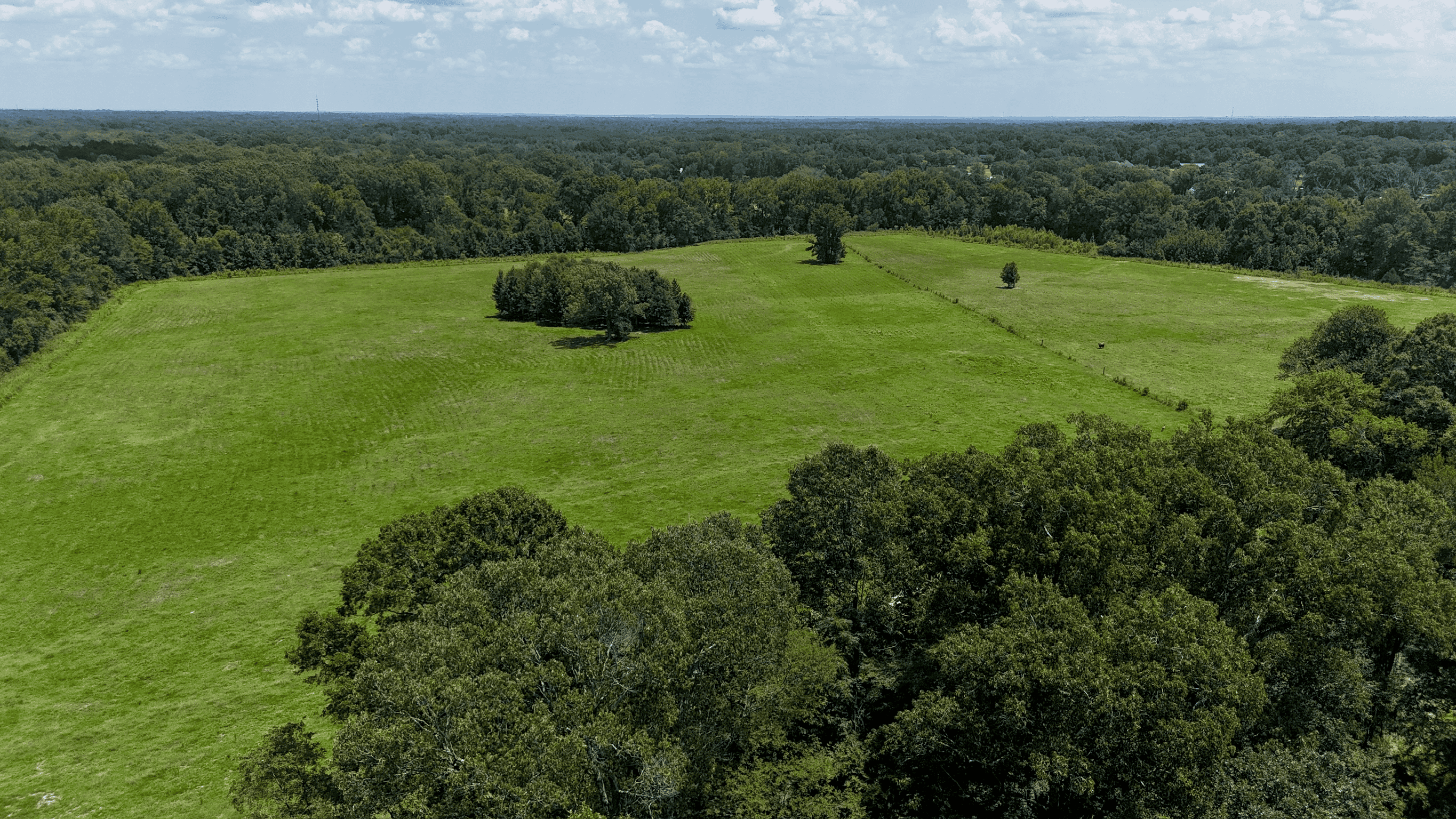 194 Acre Hunting, Homesite, and Pastureland for Sale