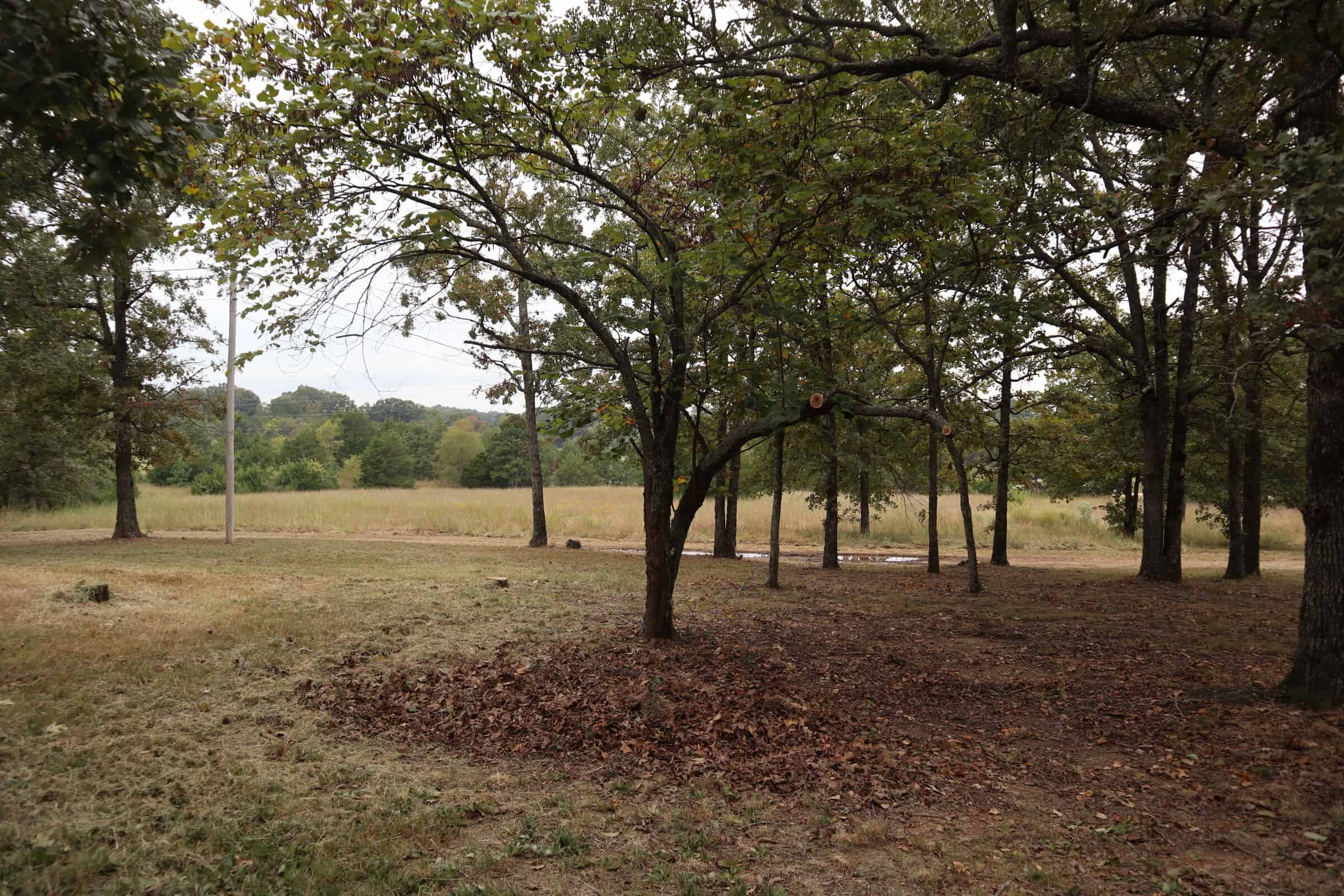 COUNTRY HOME AND 20 ACRES LOCATED NEAR SALEM ARKANSAS