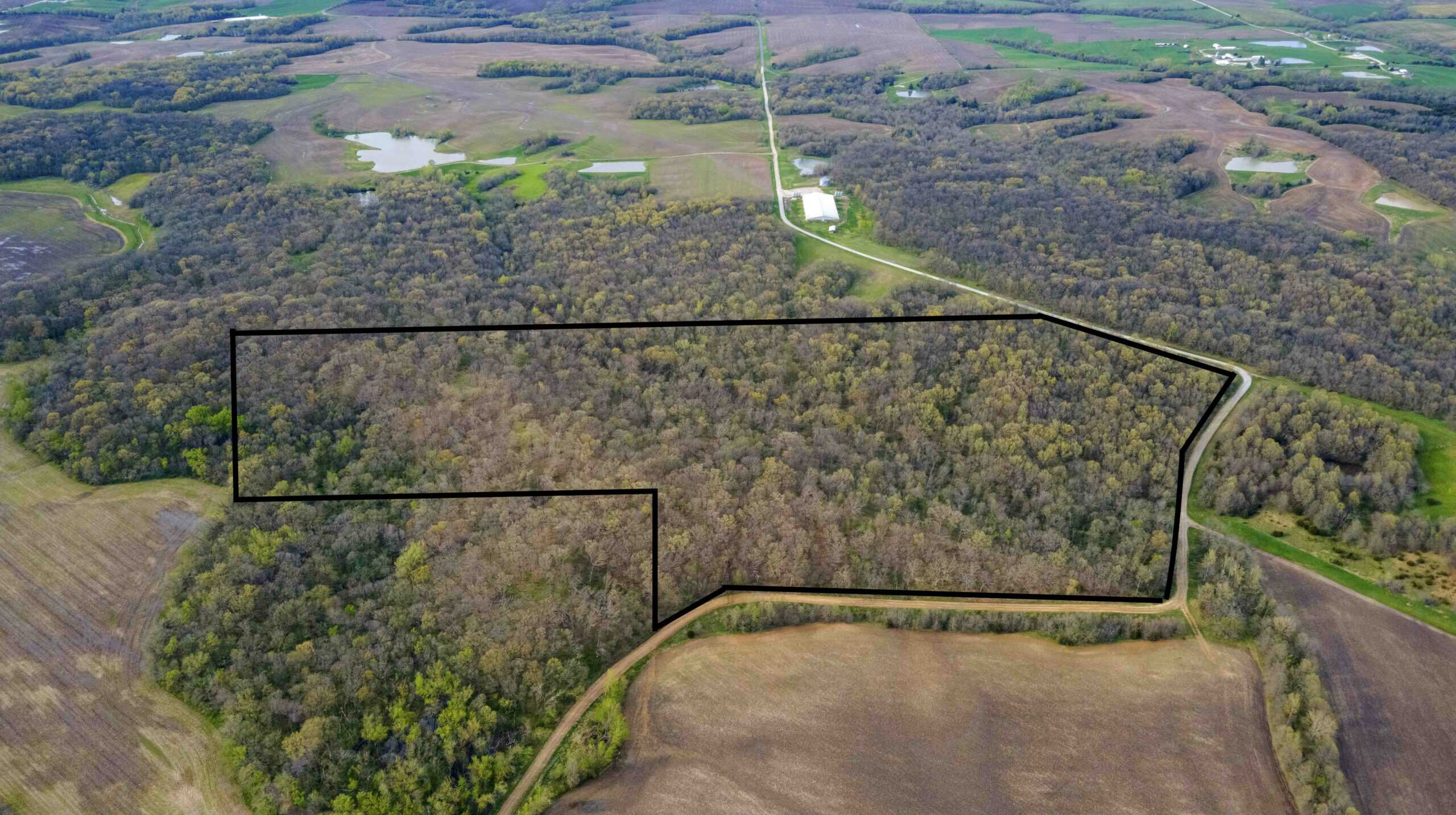 Exceptional 59-Acre Hunting Retreat in Scotland County, MO