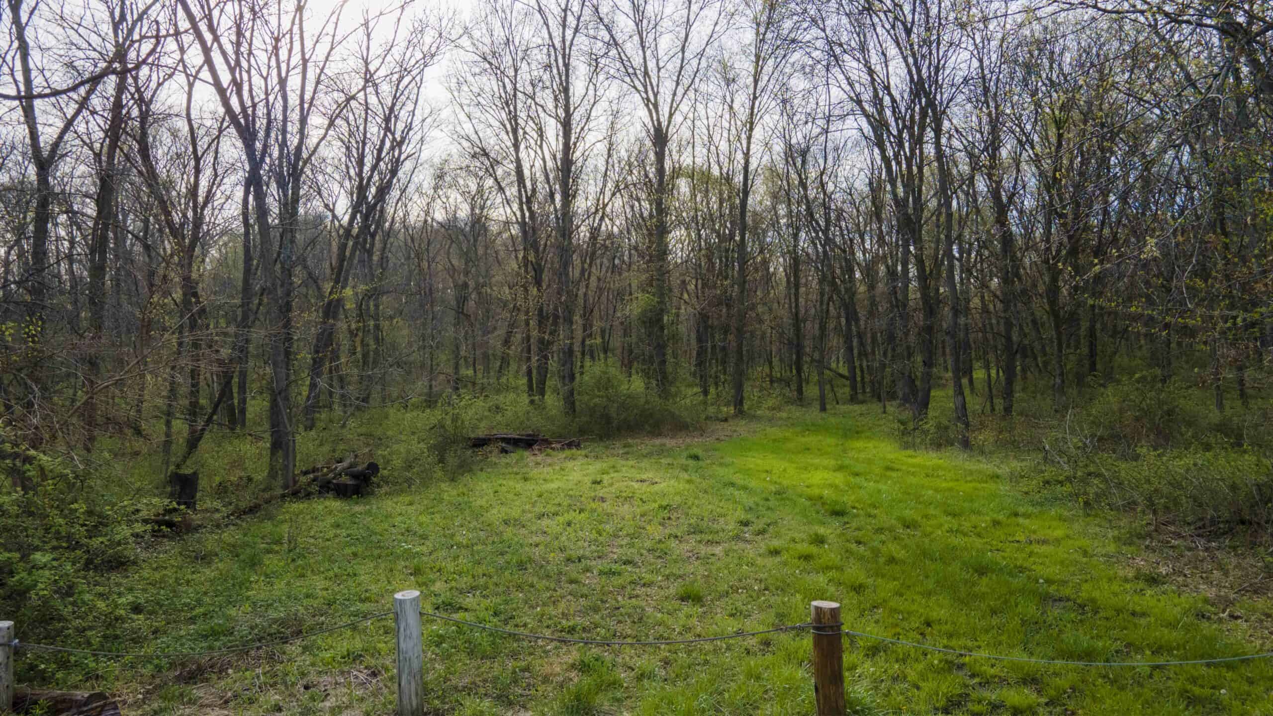 Exceptional 59-Acre Hunting Retreat in Scotland County, MO