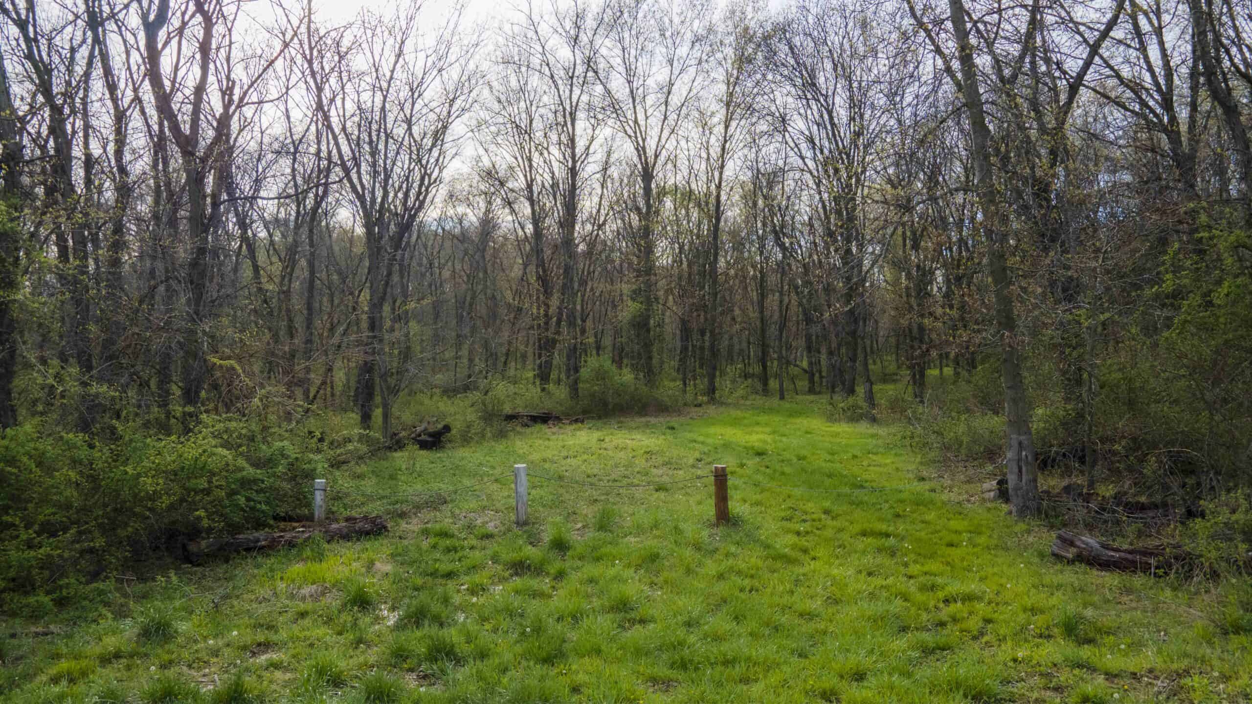 Exceptional 59-Acre Hunting Retreat in Scotland County, MO