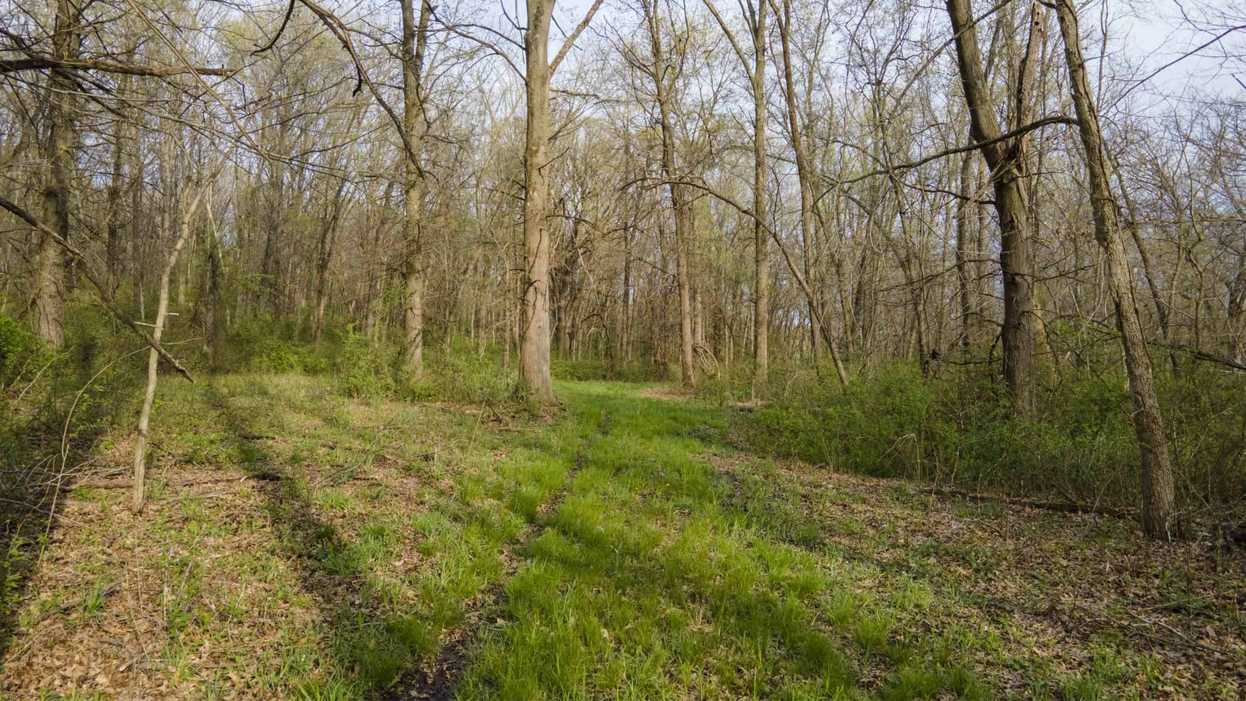 Exceptional 59-Acre Hunting Retreat in Scotland County, MO