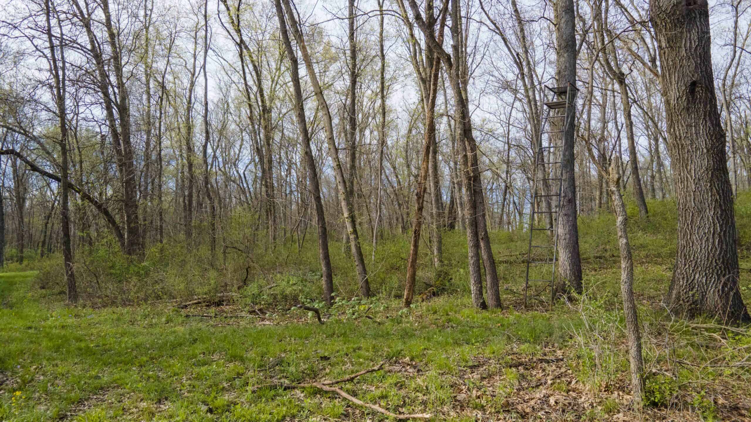 Exceptional 59-Acre Hunting Retreat in Scotland County, MO