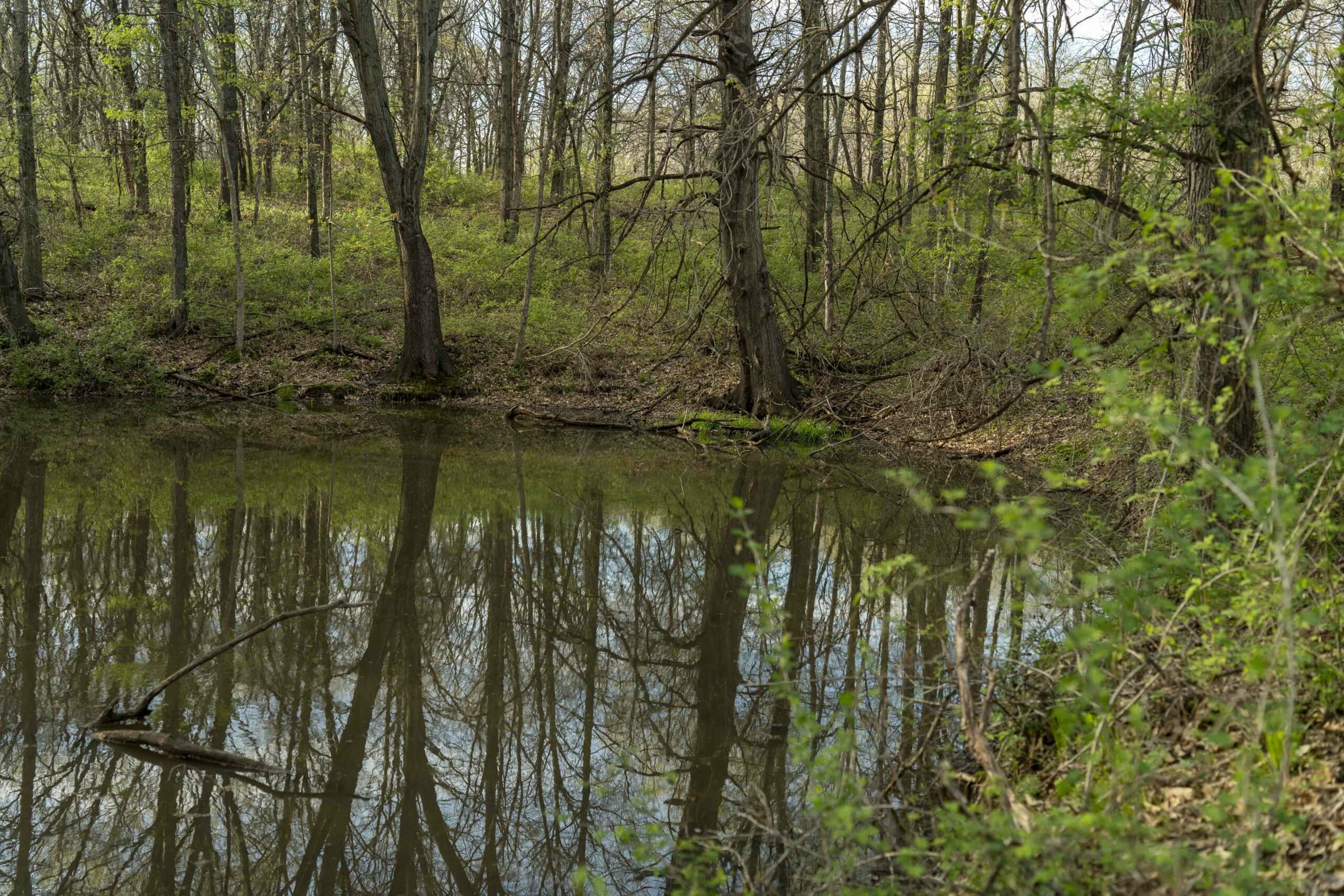 Exceptional 59-Acre Hunting Retreat in Scotland County, MO