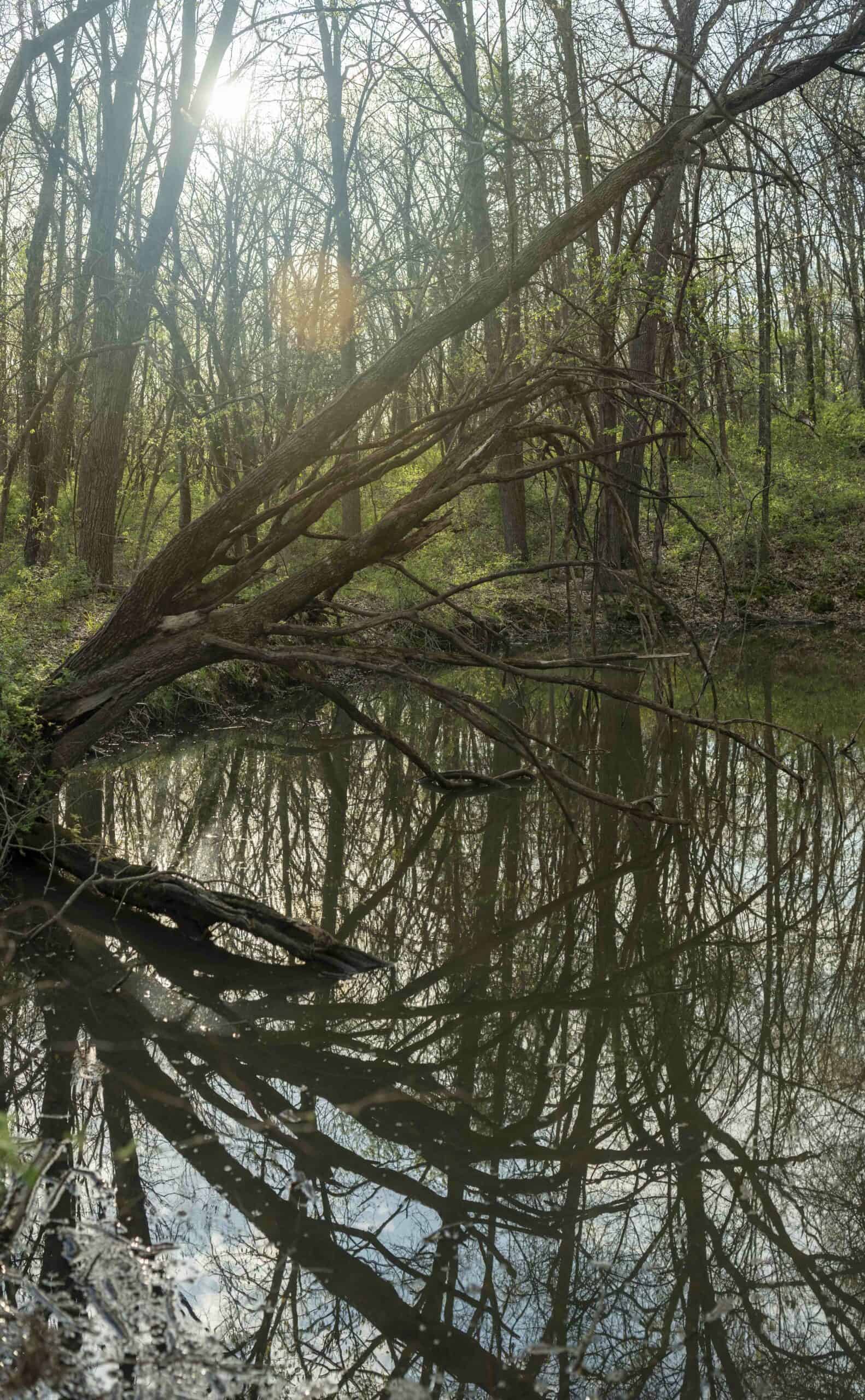 Exceptional 59-Acre Hunting Retreat in Scotland County, MO