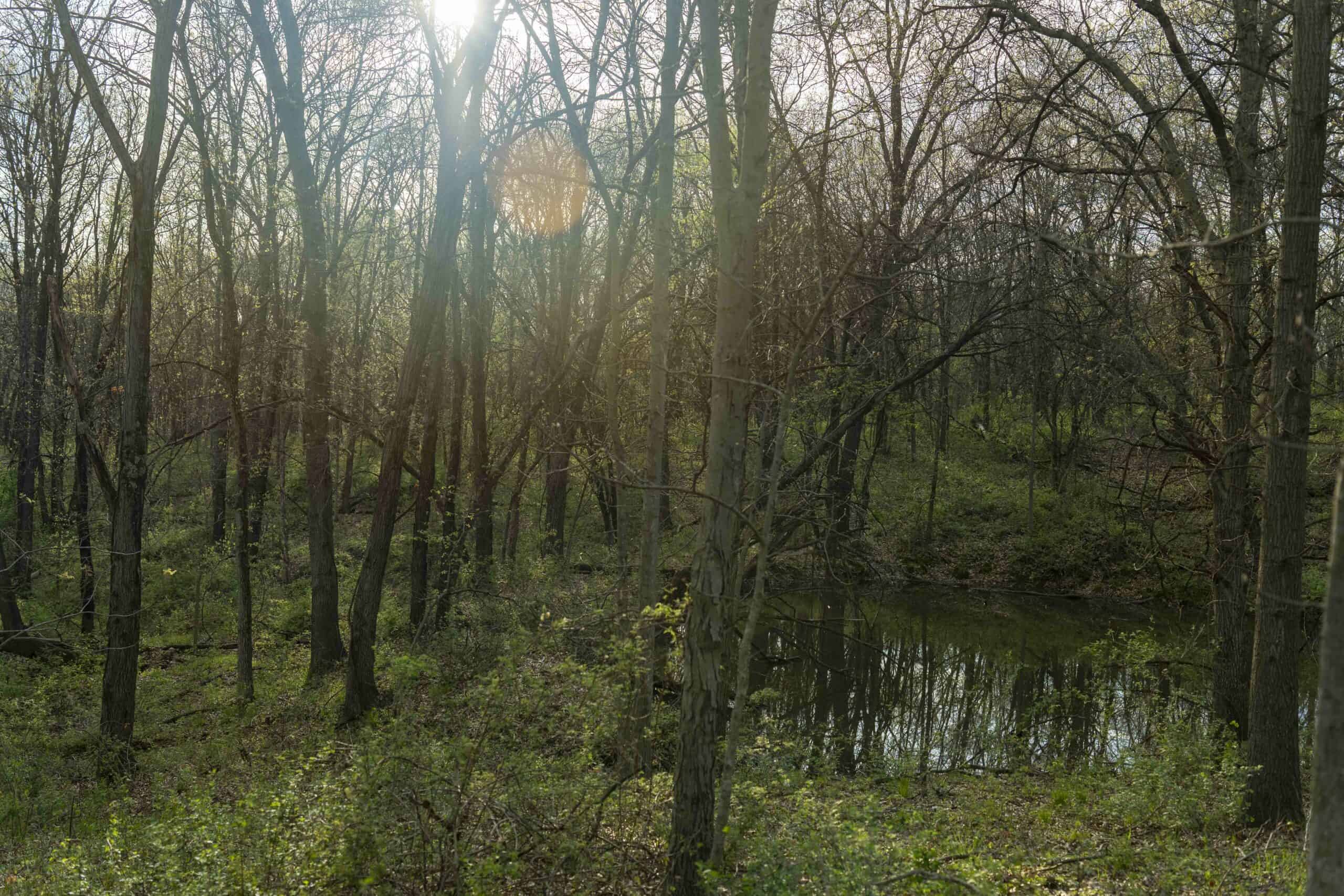 Exceptional 59-Acre Hunting Retreat in Scotland County, MO