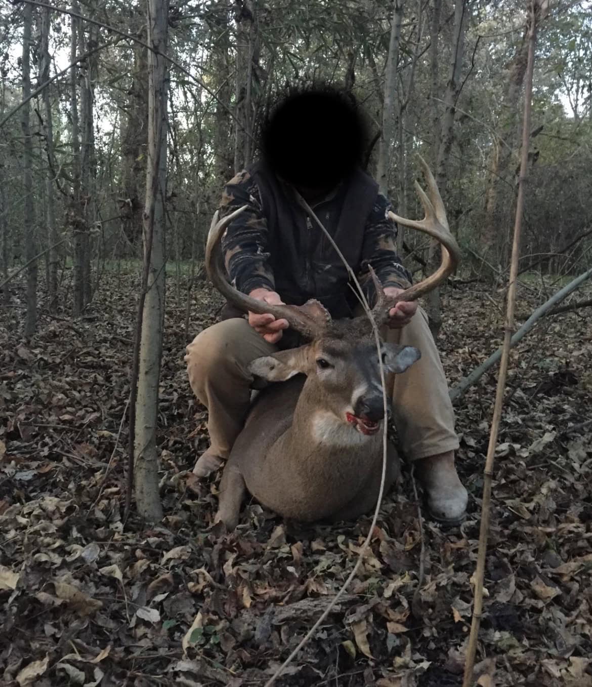 Premier Hunting Property for Sale on Mississippi River