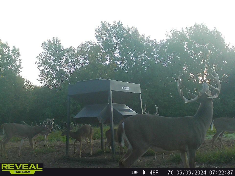 Linn County Kansas Honey Hole