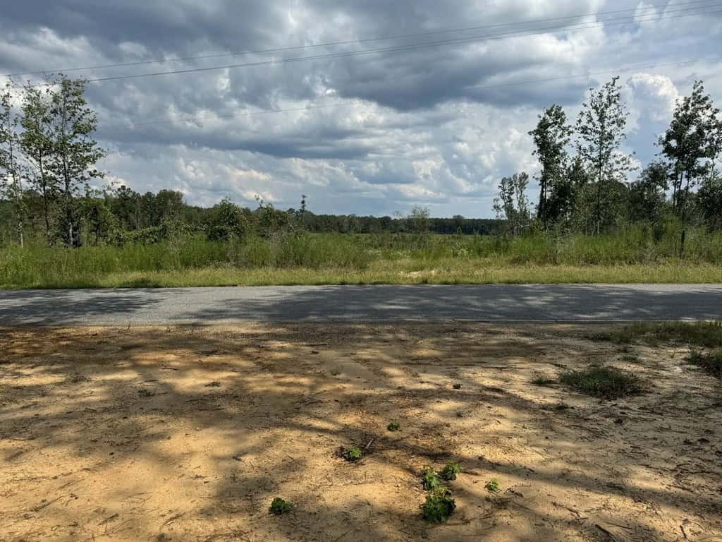 32 Acres Land for Sale Amite County, Mississippi