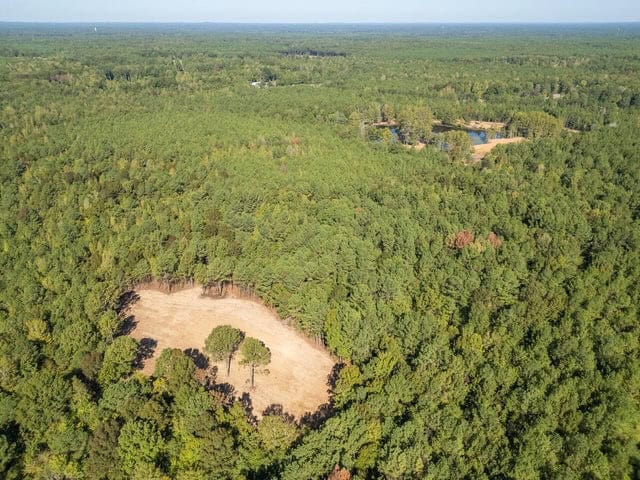 Cypress Lake 127 Acres in Starkville MS