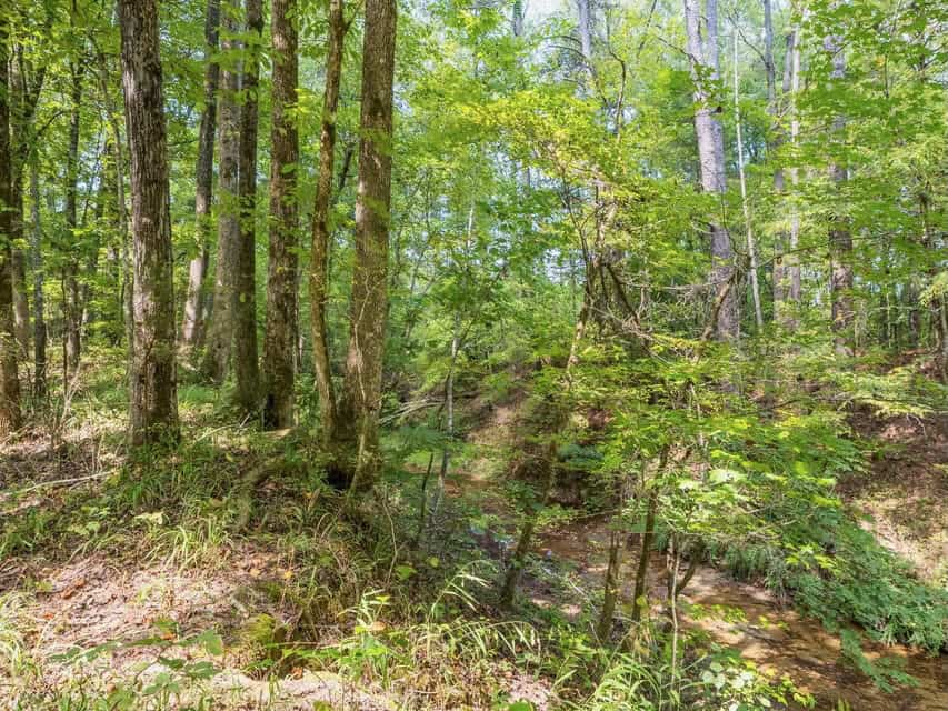 109 Acres For Sale Starkville MS