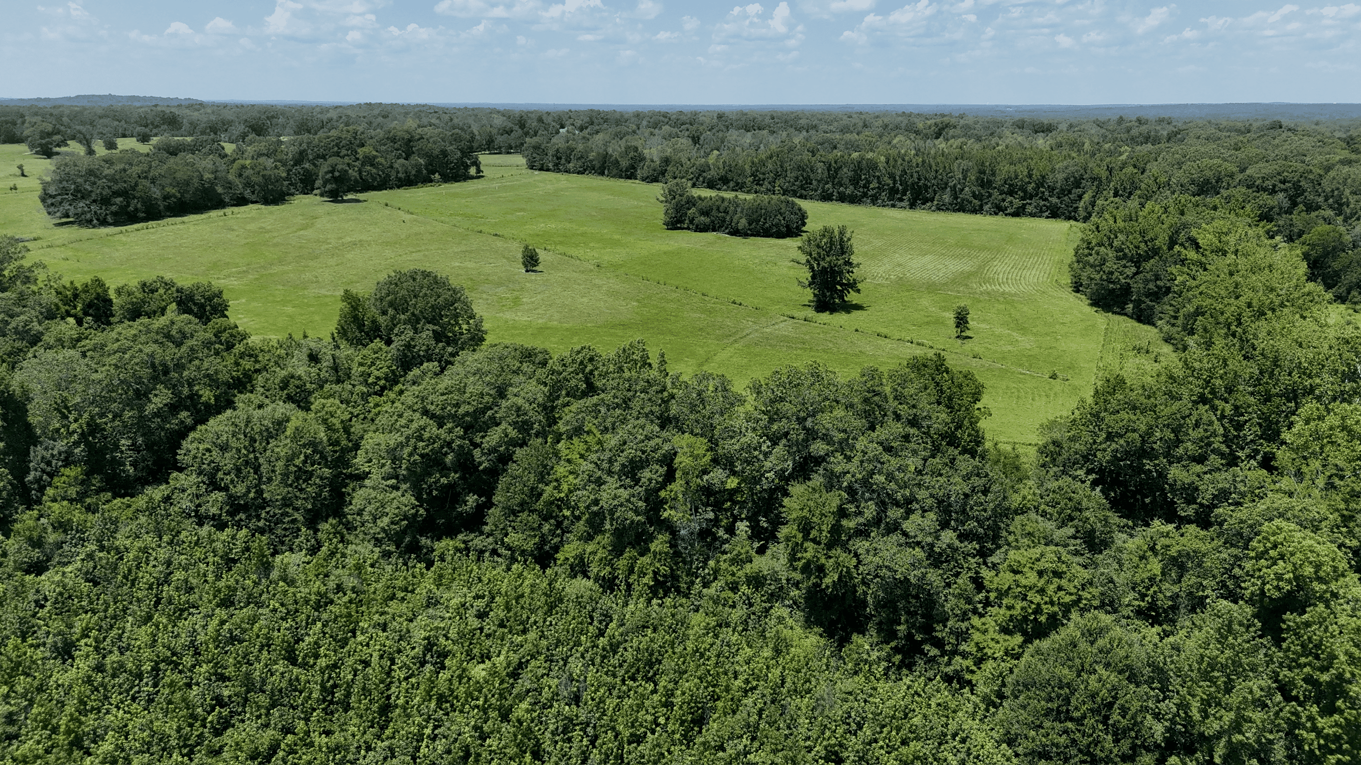 194 Acre Hunting, Homesite, and Pastureland for Sale