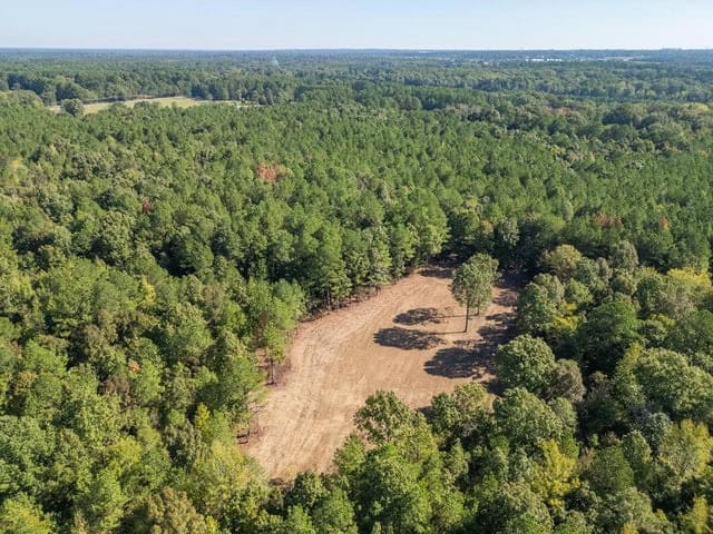 Cypress Lake 127 Acres in Starkville MS