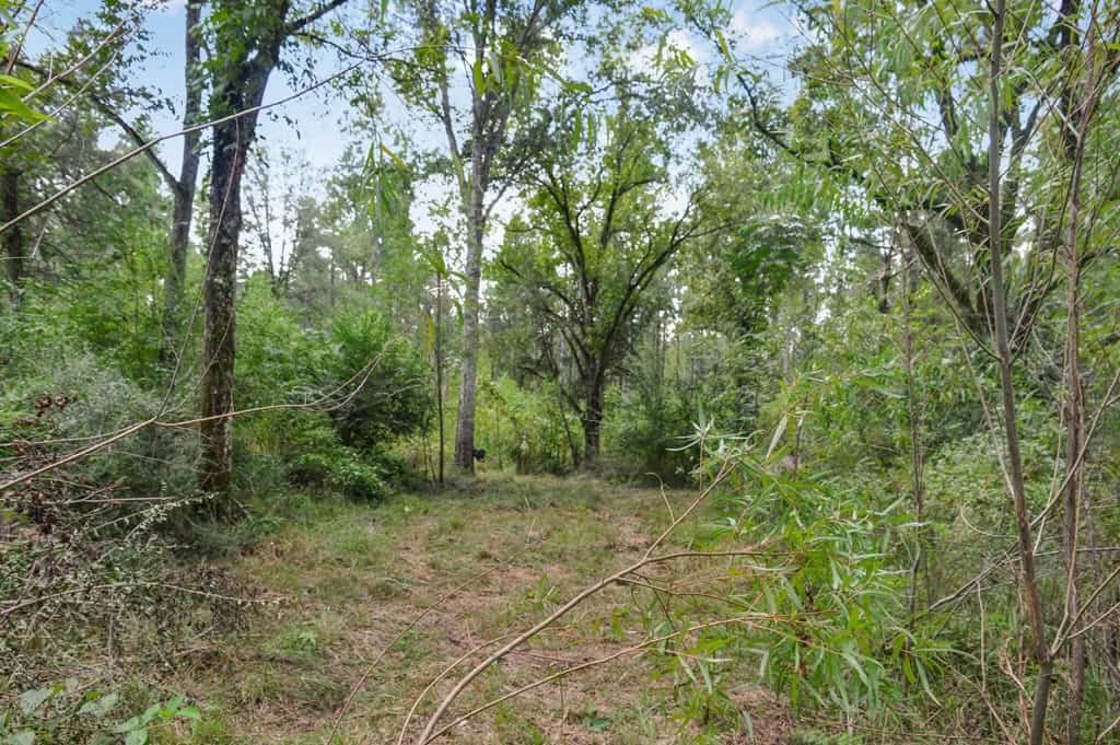 200 Acres of Land for Sale in North Pike School District