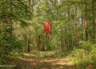 120 Acre Hunter’s Paradise in South MS for Sale