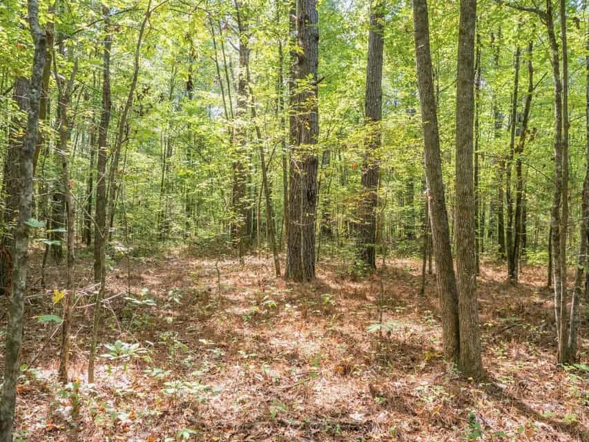 109 Acres For Sale Starkville MS