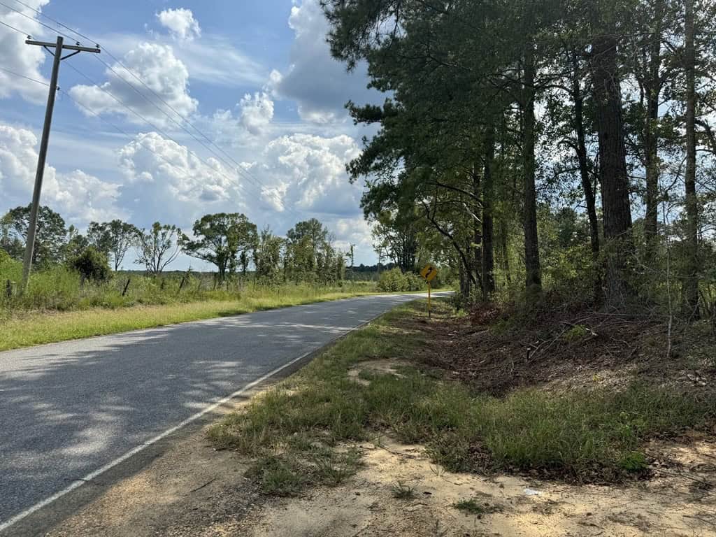 32 Acres Land for Sale Amite County, Mississippi
