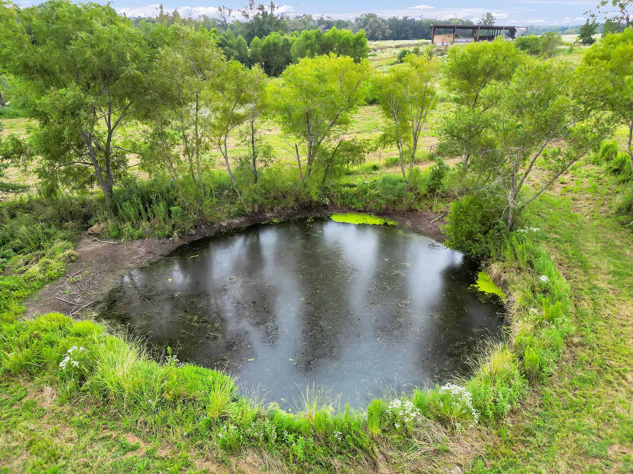 SOLD! Texas Neches Riverfront Hunting Property East of Dallas TX