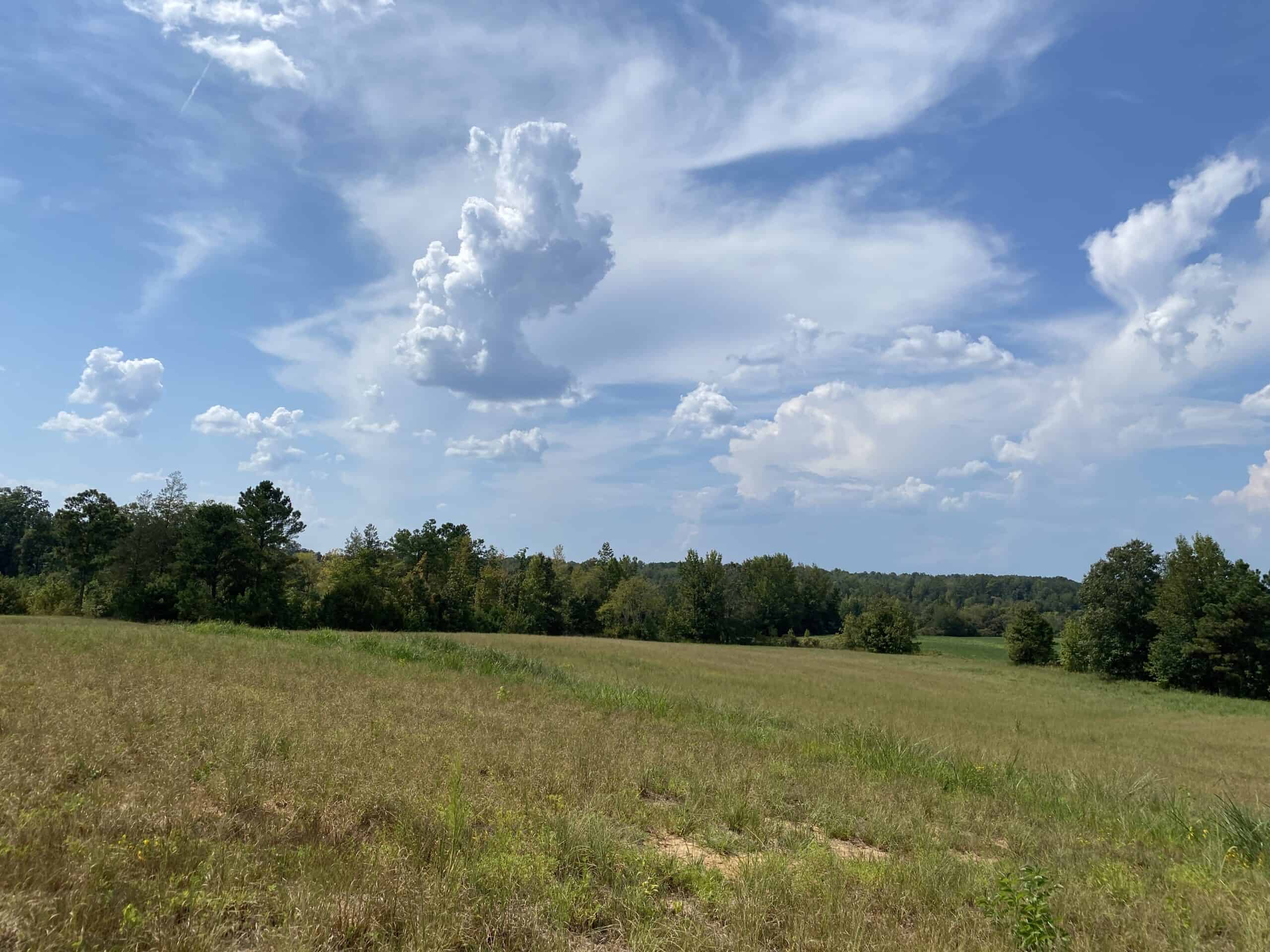 COUNTRY HOME FOR SALE IN TN, 68 AC+/-, SHEDS, POND, & CREEK