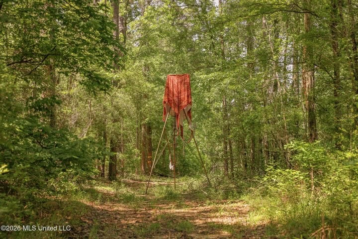120 Acre Hunter’s Paradise in South MS for Sale