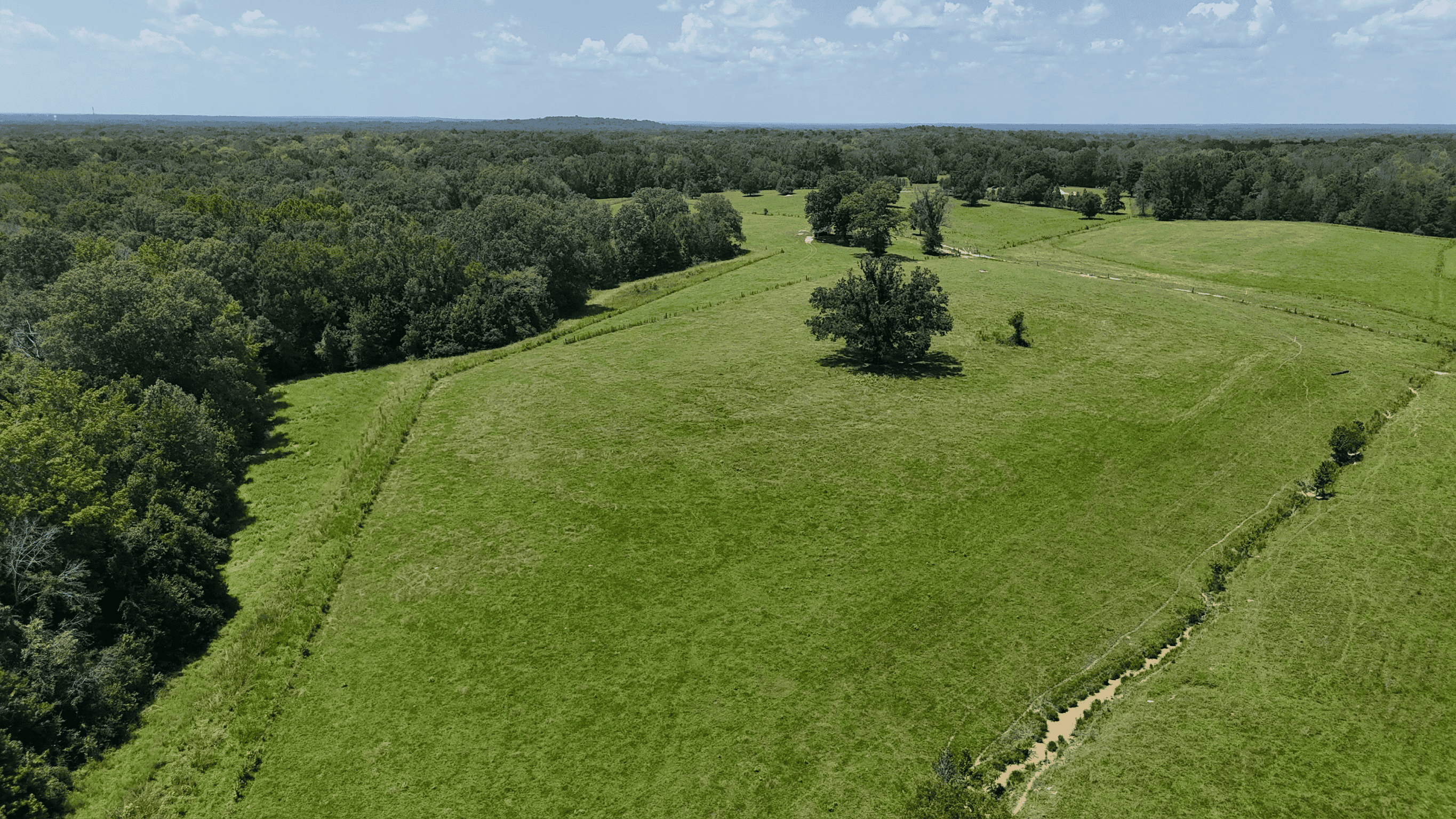 194 Acre Hunting, Homesite, and Pastureland for Sale