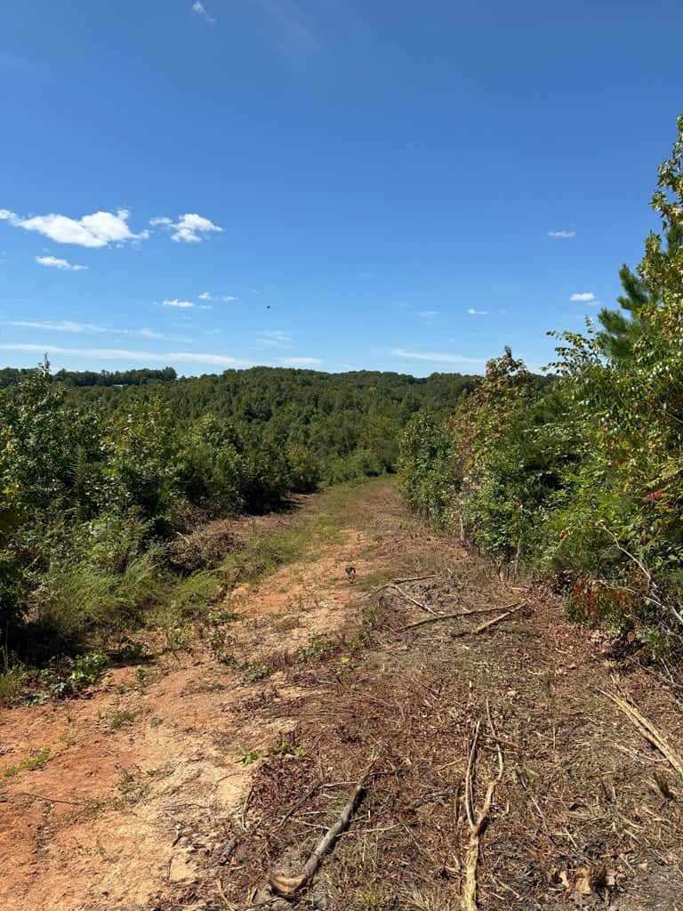 102.87 Acres of Pure Wilderness: Your Ultimate Hunting and Recreation Retreat in Halifax County, VA!