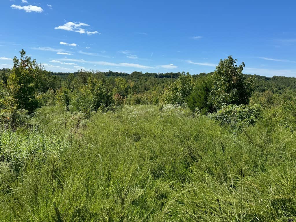 102.87 Acres of Pure Wilderness: Your Ultimate Hunting and Recreation Retreat in Halifax County, VA!