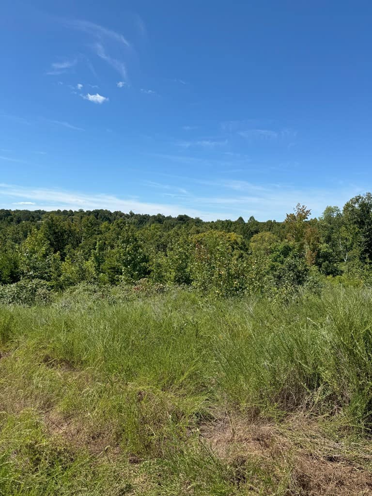 102.87 Acres of Pure Wilderness: Your Ultimate Hunting and Recreation Retreat in Halifax County, VA!