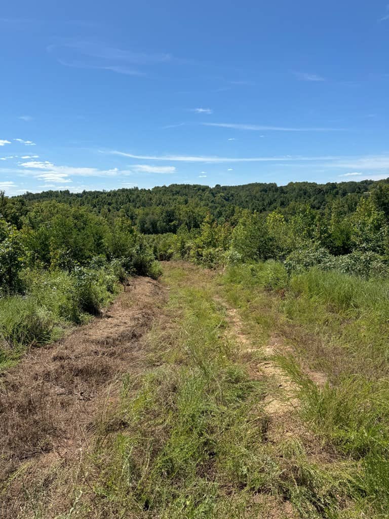 102.87 Acres of Pure Wilderness: Your Ultimate Hunting and Recreation Retreat in Halifax County, VA!