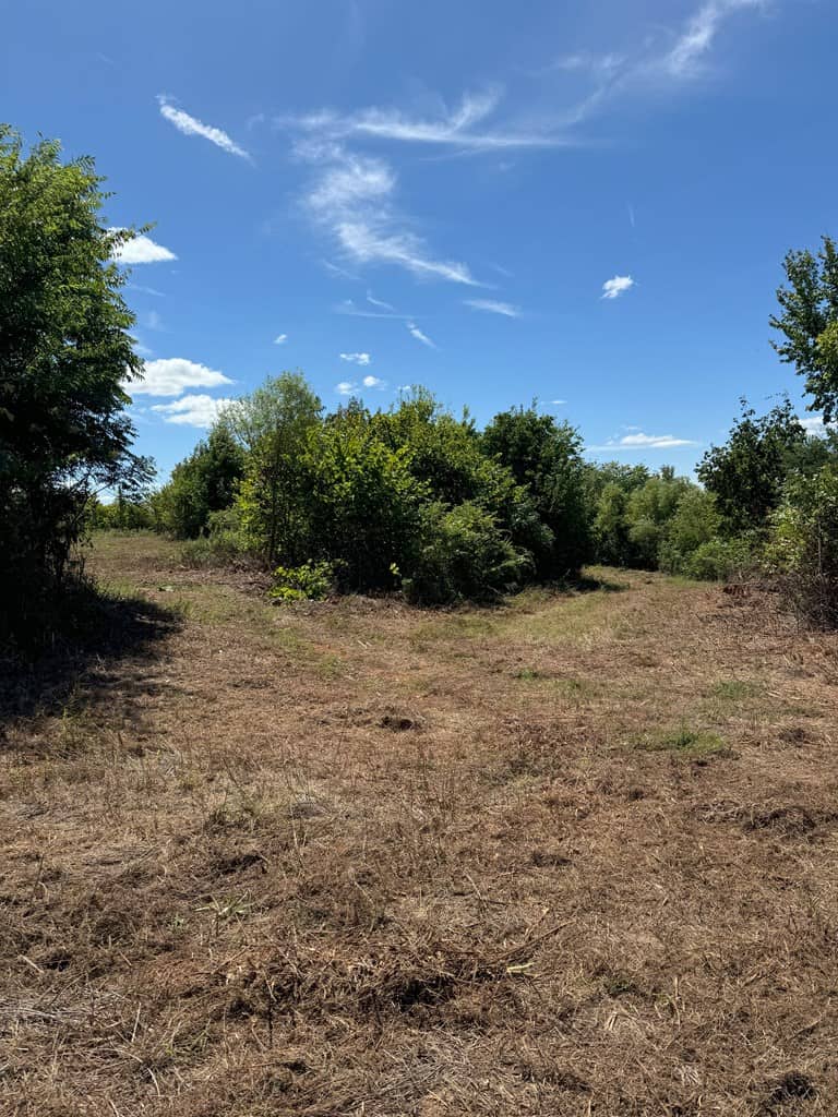 102.87 Acres of Pure Wilderness: Your Ultimate Hunting and Recreation Retreat in Halifax County, VA!
