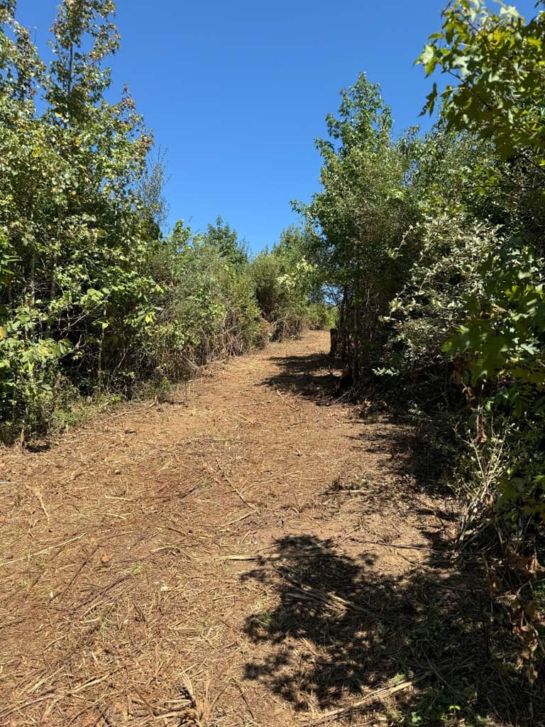 102.87 Acres of Pure Wilderness: Your Ultimate Hunting and Recreation Retreat in Halifax County, VA!