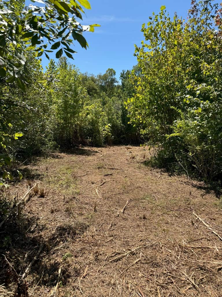 102.87 Acres of Pure Wilderness: Your Ultimate Hunting and Recreation Retreat in Halifax County, VA!