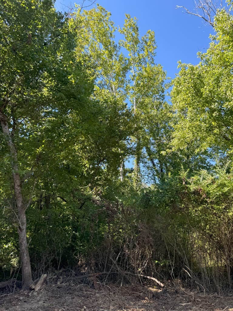 102.87 Acres of Pure Wilderness: Your Ultimate Hunting and Recreation Retreat in Halifax County, VA!