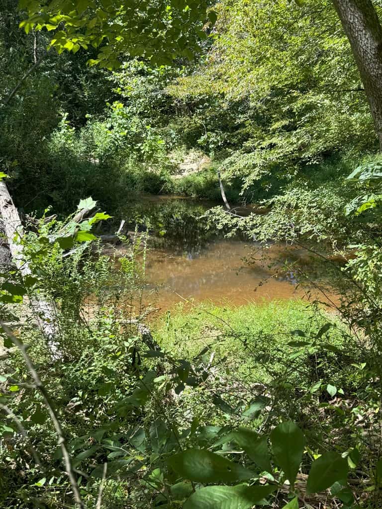 102.87 Acres of Pure Wilderness: Your Ultimate Hunting and Recreation Retreat in Halifax County, VA!