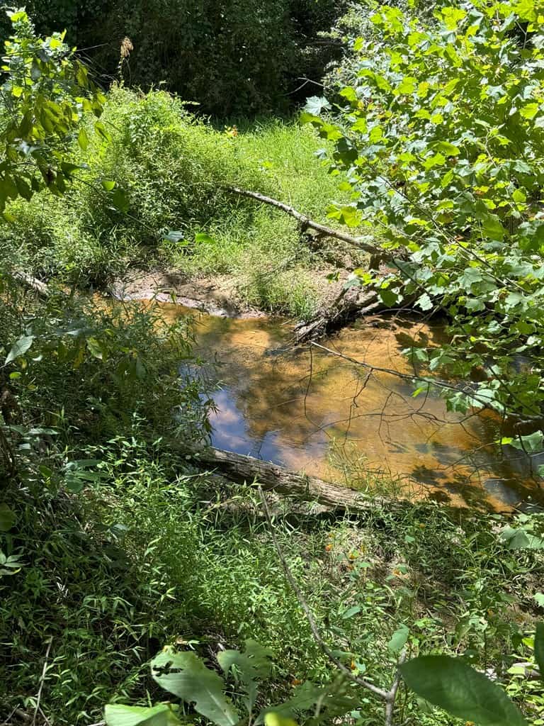 102.87 Acres of Pure Wilderness: Your Ultimate Hunting and Recreation Retreat in Halifax County, VA!