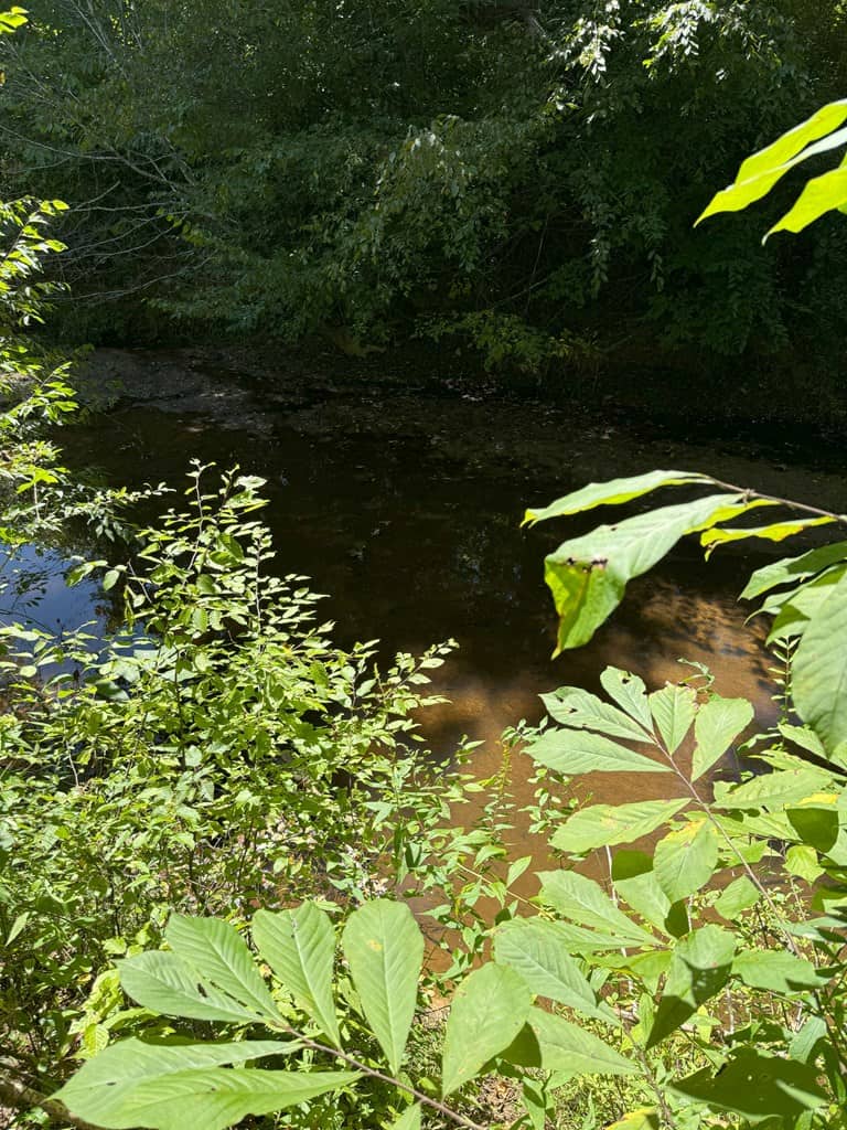 102.87 Acres of Pure Wilderness: Your Ultimate Hunting and Recreation Retreat in Halifax County, VA!