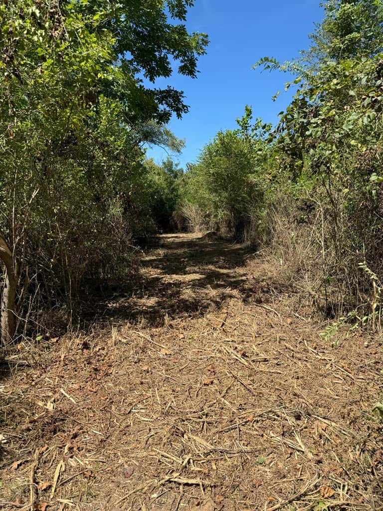 102.87 Acres of Pure Wilderness: Your Ultimate Hunting and Recreation Retreat in Halifax County, VA!