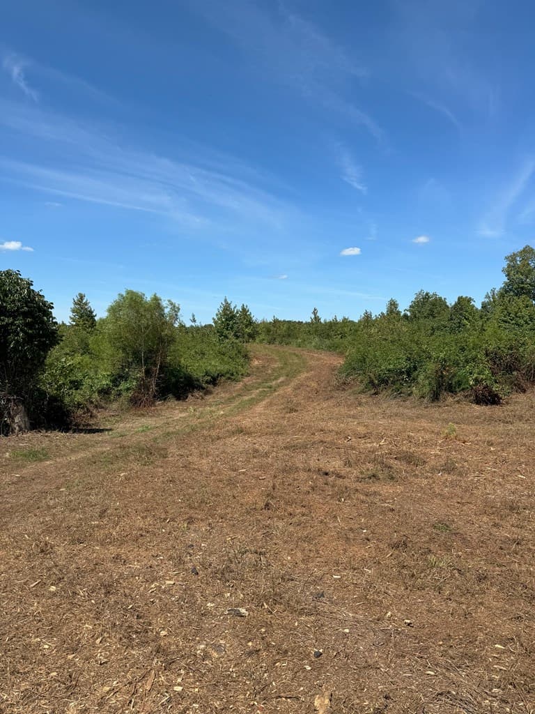 102.87 Acres of Pure Wilderness: Your Ultimate Hunting and Recreation Retreat in Halifax County, VA!