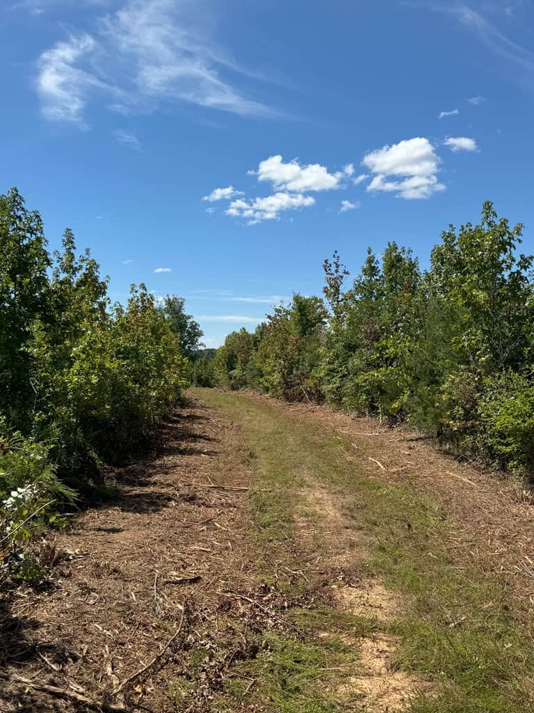 102.87 Acres of Pure Wilderness: Your Ultimate Hunting and Recreation Retreat in Halifax County, VA!