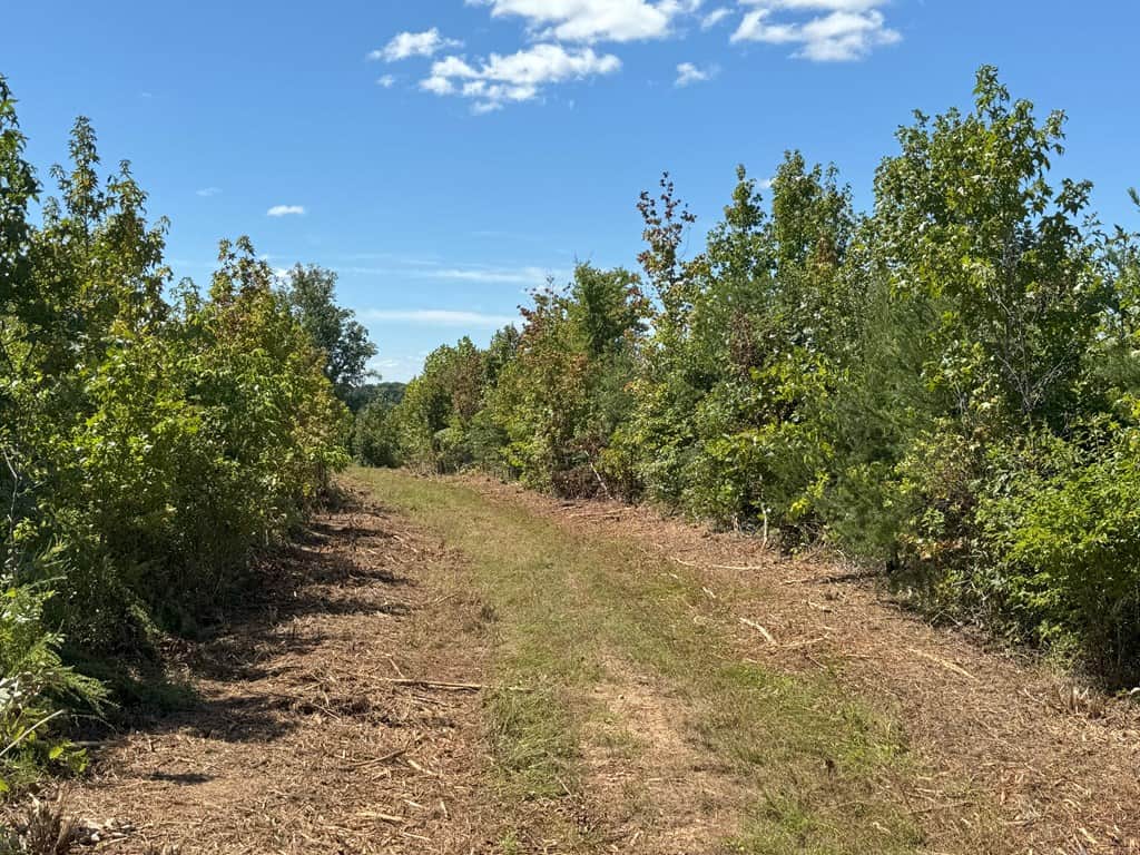 102.87 Acres of Pure Wilderness: Your Ultimate Hunting and Recreation Retreat in Halifax County, VA!