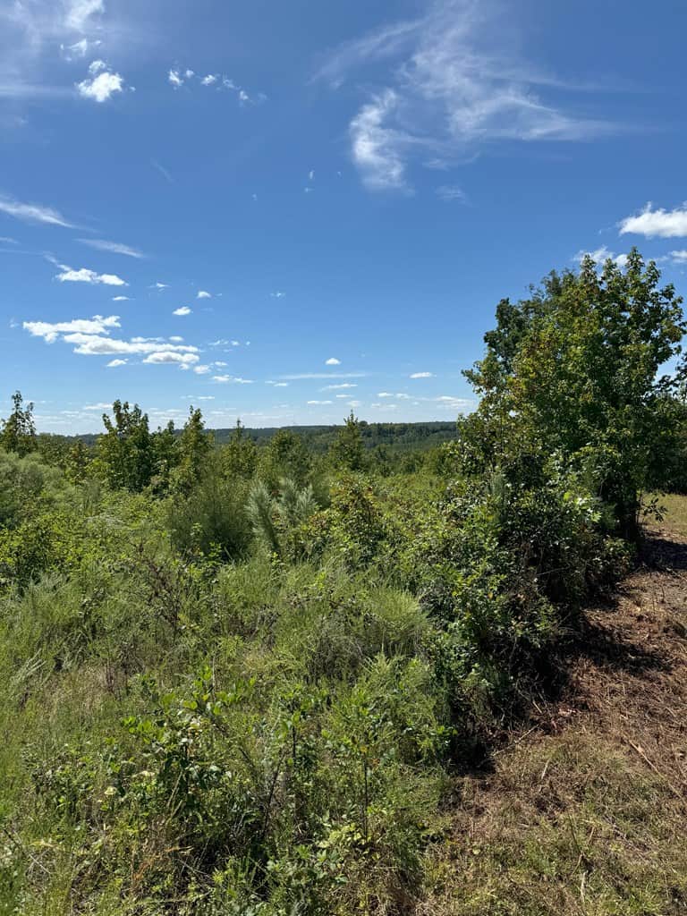 102.87 Acres of Pure Wilderness: Your Ultimate Hunting and Recreation Retreat in Halifax County, VA!