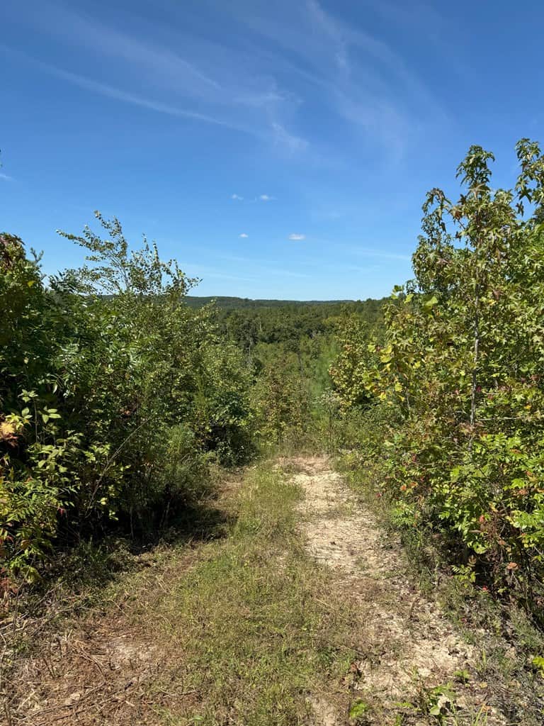 102.87 Acres of Pure Wilderness: Your Ultimate Hunting and Recreation Retreat in Halifax County, VA!