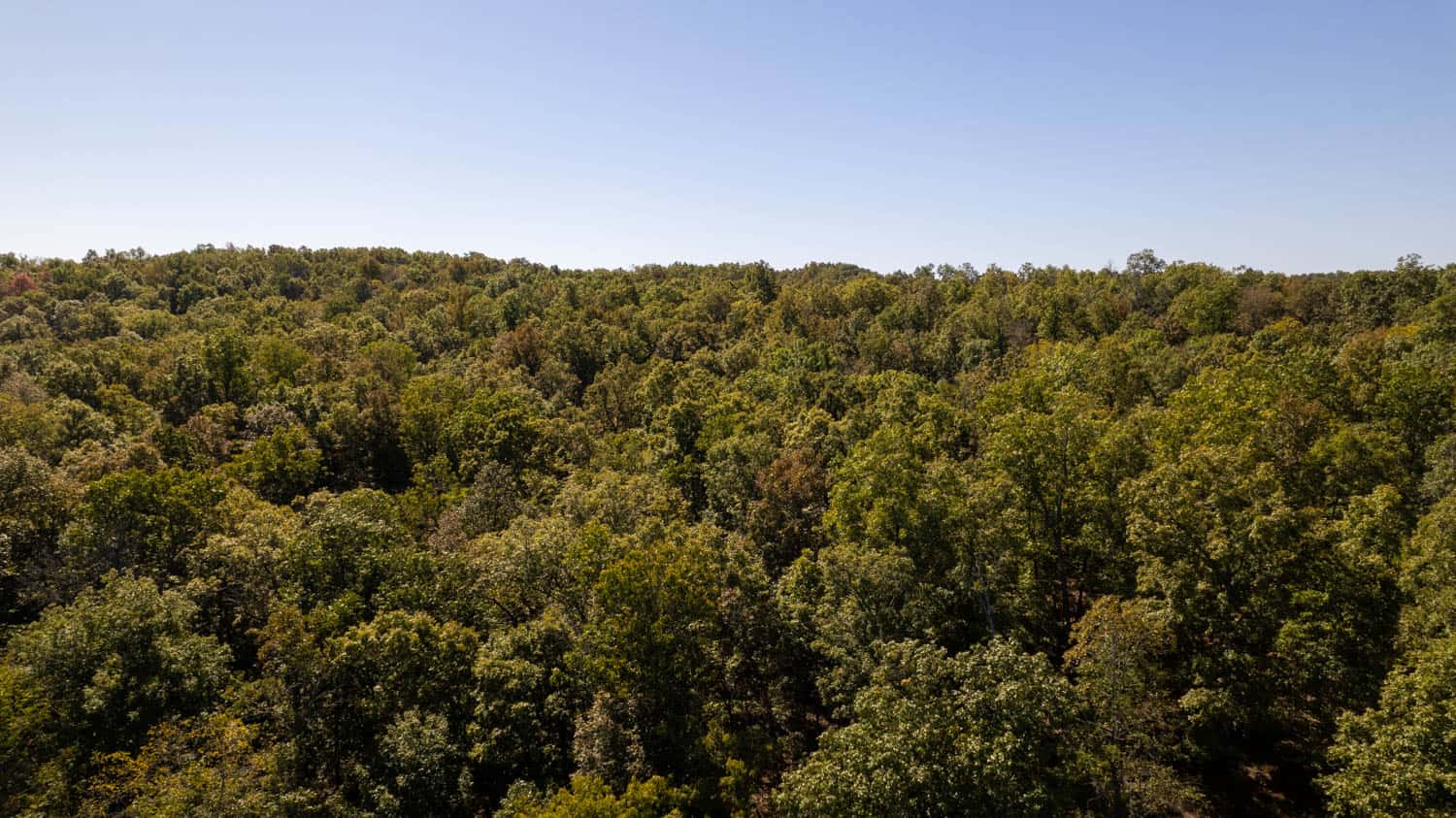 SOUTHFORK RIVER FRONTAGE PROPERTY WITH DEVELOPMENT POTENTIAL