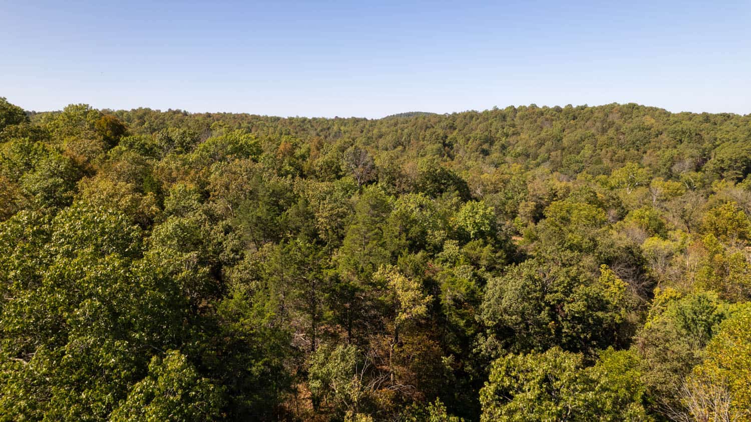 SOUTHFORK RIVER FRONTAGE PROPERTY WITH DEVELOPMENT POTENTIAL